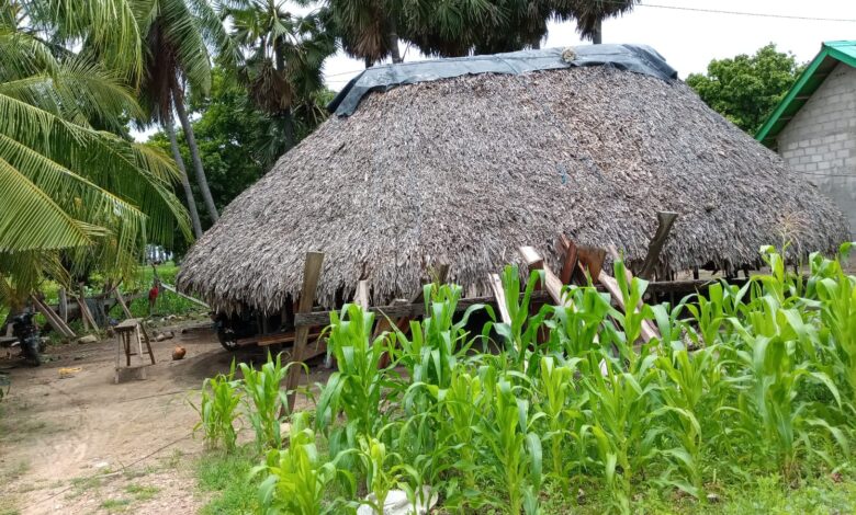 Rumah Nona di Parajara
